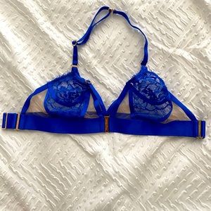 Honey Birdette royal blue bralette